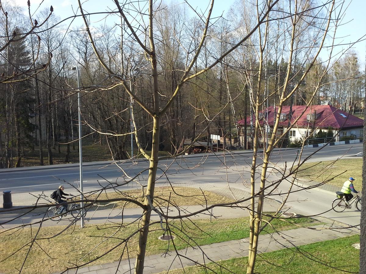 Lima Studio Druskininkai Luaran gambar